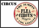 Circus-flea and posters.pdf