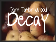 Decay Sam Taylor Wood.pptm