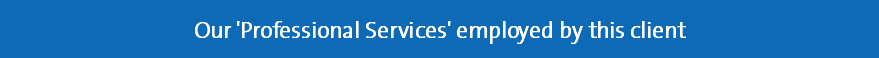 Our 'Professional Services' employed by this client