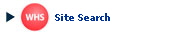Site Search