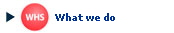 What we do